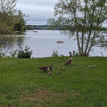 Alamoosook Lakeside Inn Orland Zewnętrze zdjęcie